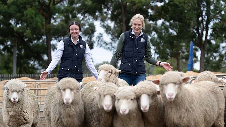 Sydney Royal Easter Show Public Relations Internship Program
