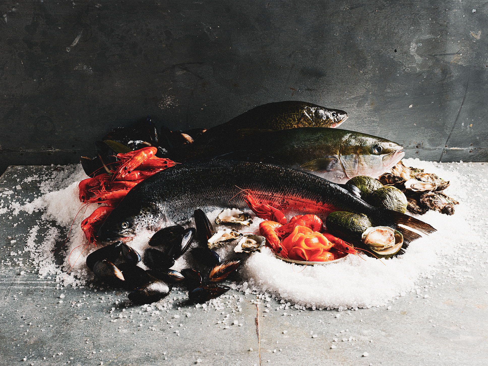 Fresh fish, prawns, oysters, and mussels displayed on ice at the Sydney Royal Fine Food Show Aquaculture Competition.