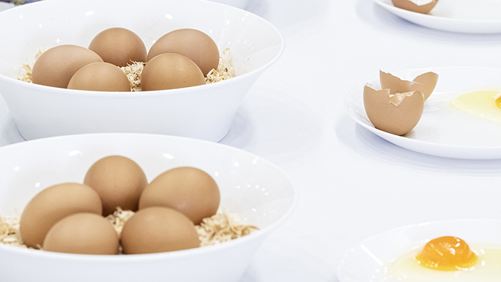 Bowls of brown eggs on straw beside plates with cracked eggshells and raw eggs on a white surface.