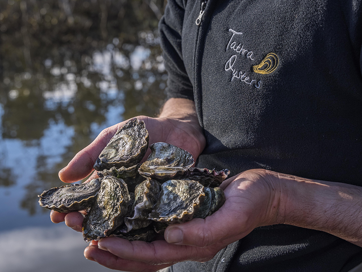 Tathra Oysters