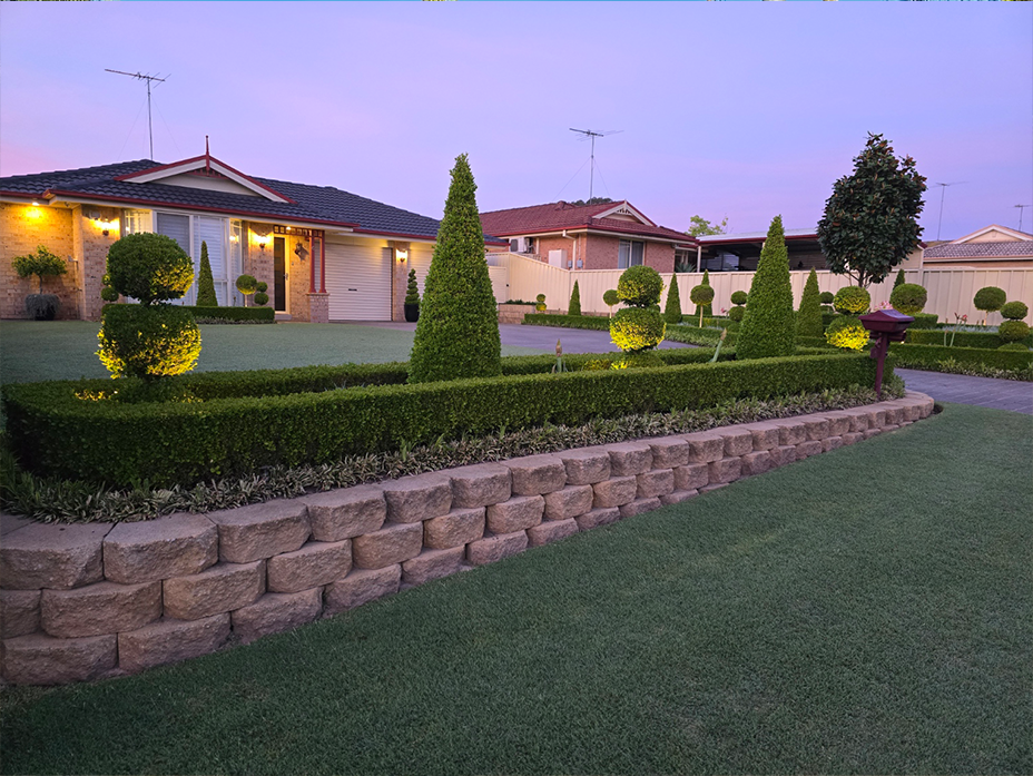 Contemporary formal garden with illuminated topiary and tiered hedging, blending precision lawn care with striking evening presentation.