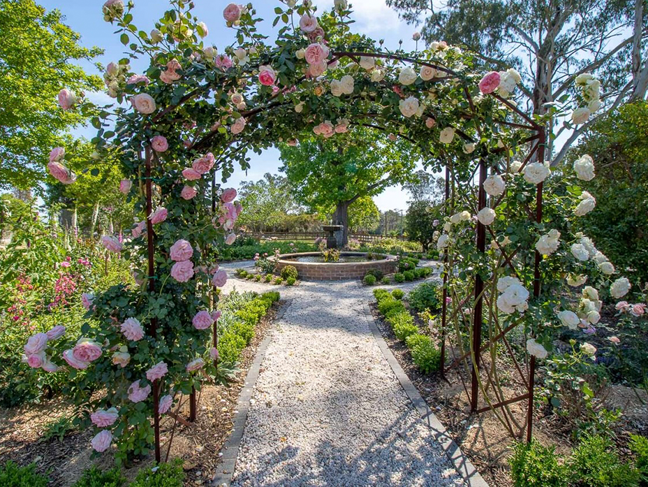 Classic rose garden with an archway of pink blooms leading to a central fountain, exemplifying traditional spring charm and formal garden design.