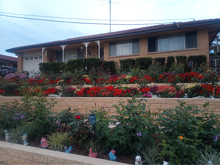 Tiered spring garden in full bloom with rows of red, pink, and white flowers framed by trimmed hedges, reflecting vibrant colour coordination and care.