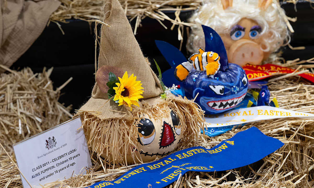 A row of decorative pumpkins placed among straws of hay with prize ribbons, showcased at the Great Backyard Pumpkin Challenge.