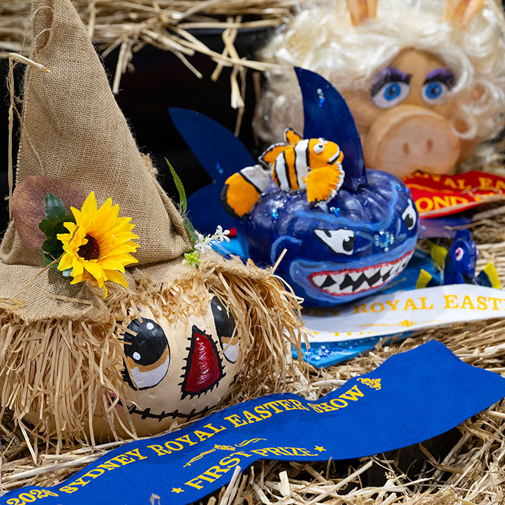 A row of decorative pumpkins placed among straws of hay with prize ribbons, showcased at the Great Backyard Pumpkin Challenge.