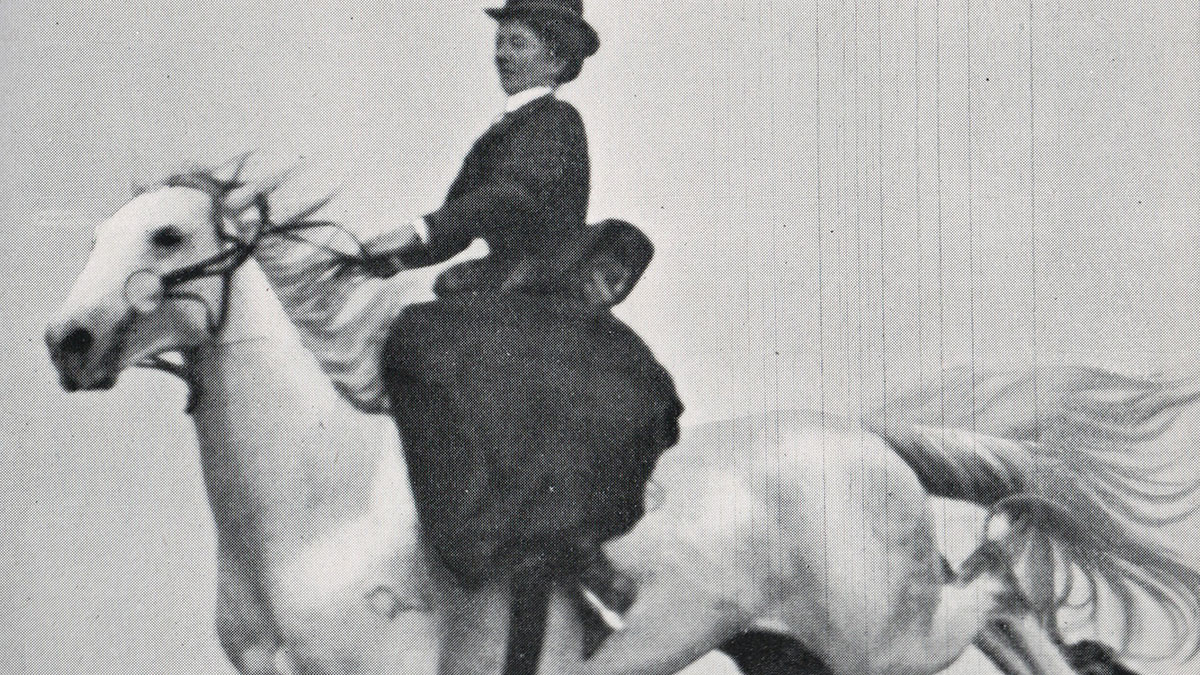 Side-saddle record