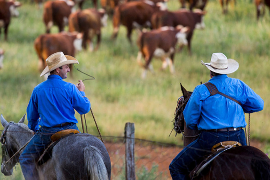 Become an RAS Member