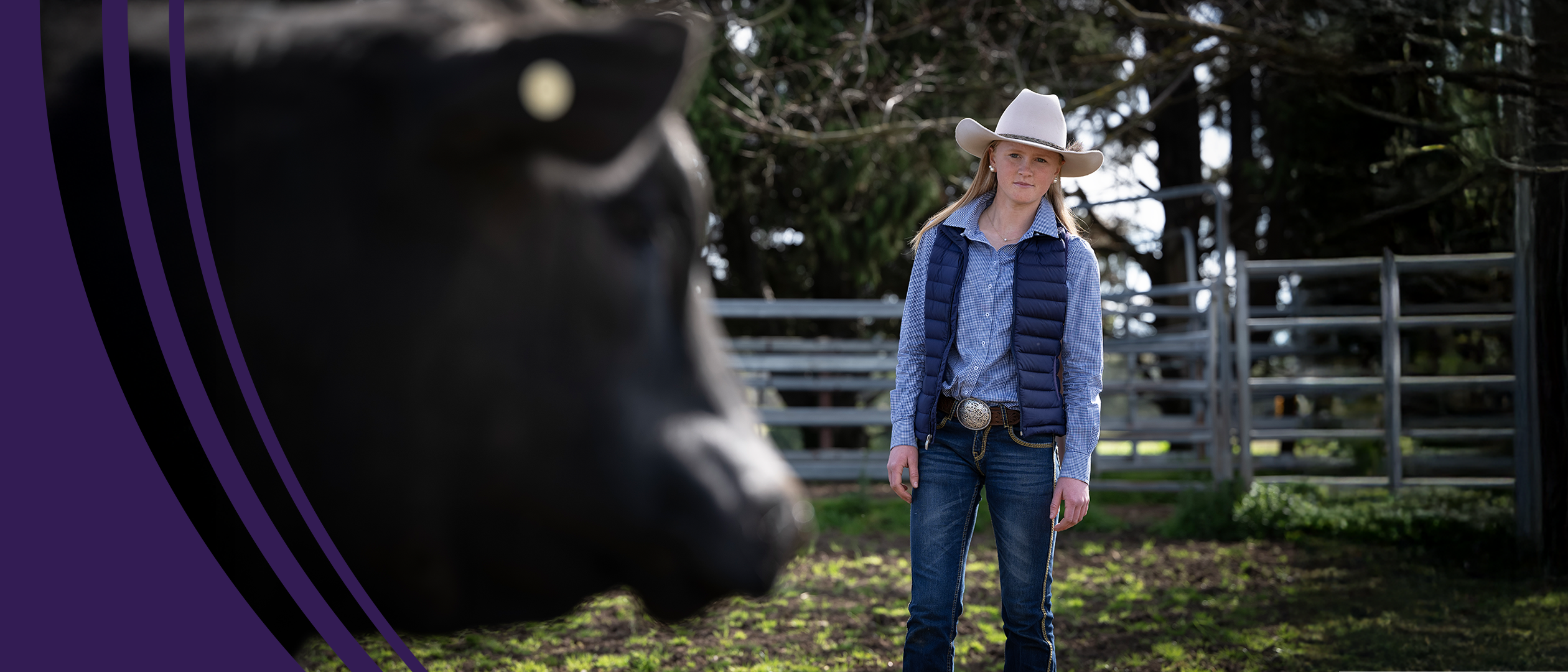 Young blonde girl in a cowboy hat staring at a large black cow, standing in a paddock with fencing and trees behind.