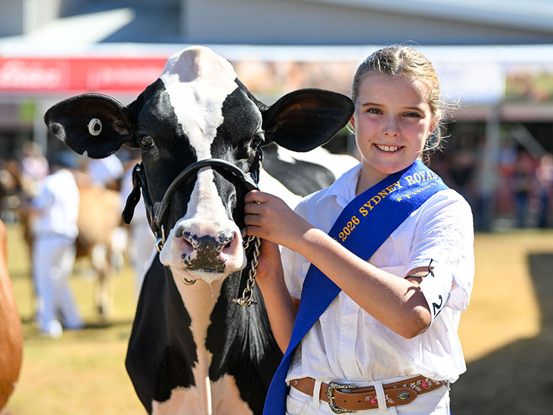 A young girl posing with her award-winning Holstein Fiesian, smiling and wearing her champion ribbon at the Sydney Royal Cattle Show.