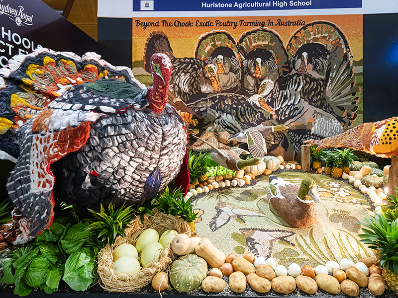 A bright display of vegetables and produced featuring sculptures of turkeys and ducks, created by Hurlstone Agricultural High School at the Sydney Royal District Exhibits Competition.