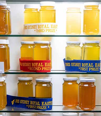 Shelves of golden honey adorned with red and blue prize ribbons at the Sydney Royal National Honey Show.