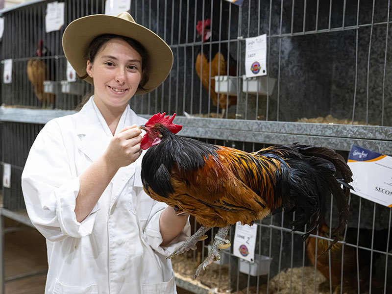 A young adult exhibitor in a white coat and Akubra hat, smiling and holding a Vorverk chicken at the Sydney Royal Poultry & Pigeon Show.