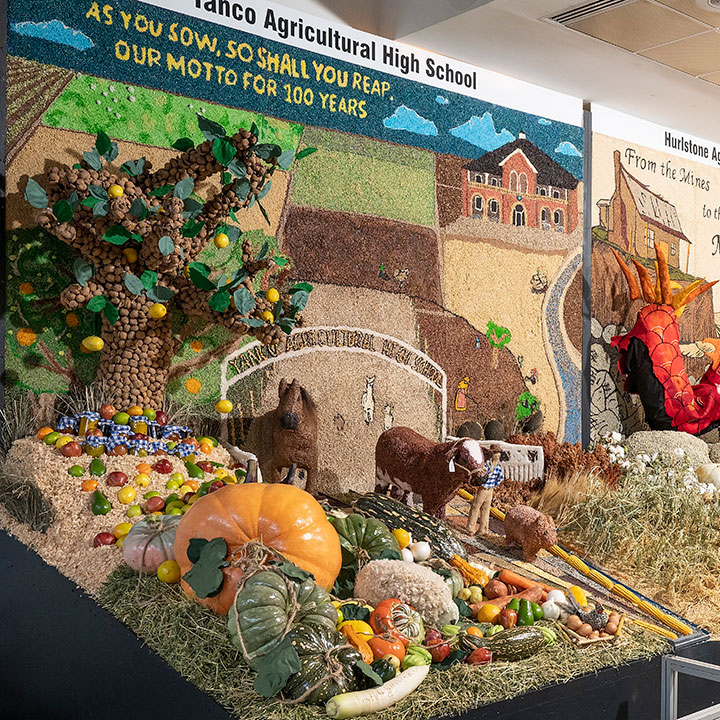 An agricultural display of pumpkins, grains, wheat and produce at the Sydney Royal District Exhibits Competition.